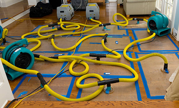 Professional Crawl Space Water Removal technician working in Climax, MI